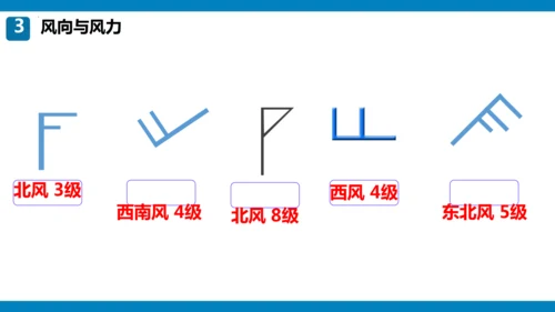 期末总复习：读图填图突破（课件59张）-2024-2025学年第一学期人教版七年级地理