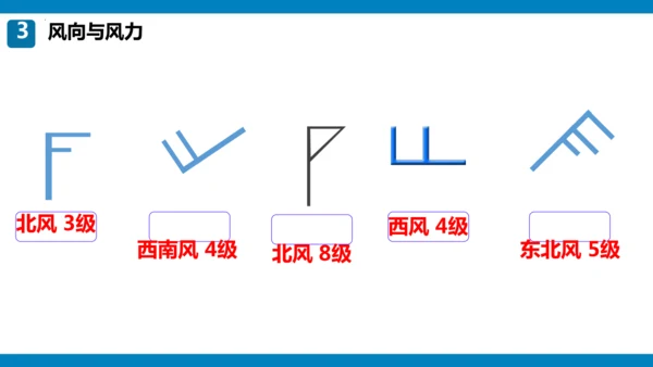 期末总复习：读图填图突破（课件59张）-2024-2025学年第一学期人教版七年级地理