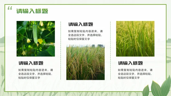 绿色简约实景我的家乡乡村旅游相册介绍PPT模板