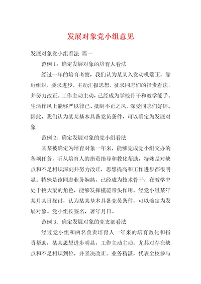 发展对象党小组意见