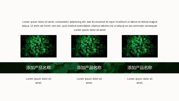 绿色叶子一叶一菩提通用PPT模板