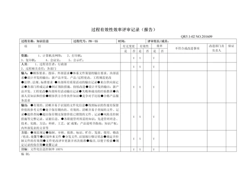 过程有效性效率评审记录.docx