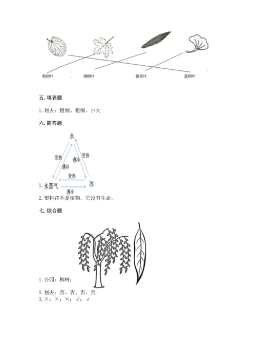 教科版科学一年级上册第一单元《植物》测试卷附答案【综合卷】.docx