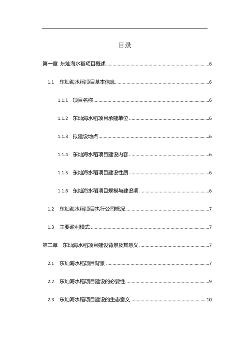 东灿海上水稻项目商业计划书.docx