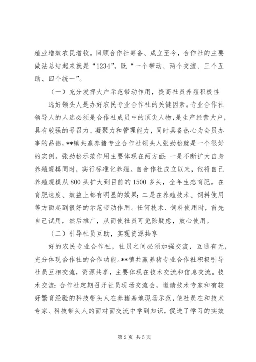 共赢养猪专业合作社典型材料.docx