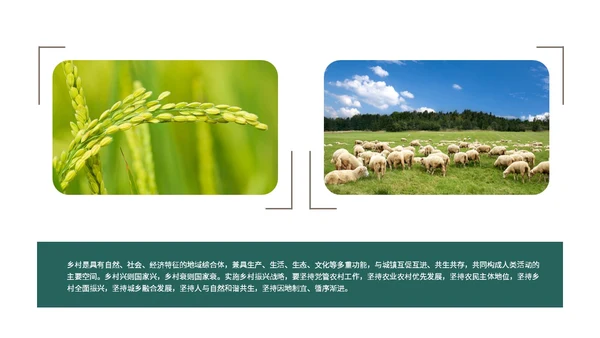 实拍笔刷风格美丽乡村农业介绍新时代农业农村现代化ppt模板