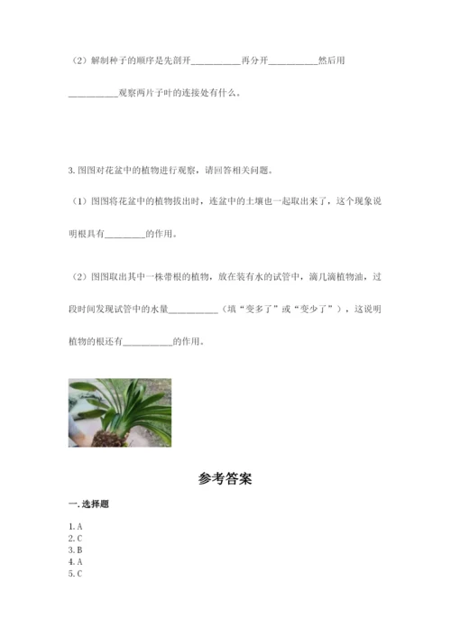 科学四年级下册第一单元《植物的生长变化》测试卷往年题考.docx