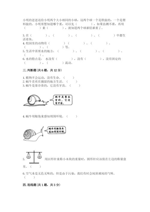 教科版一年级下册科学期末测试卷附参考答案【夺分金卷】.docx