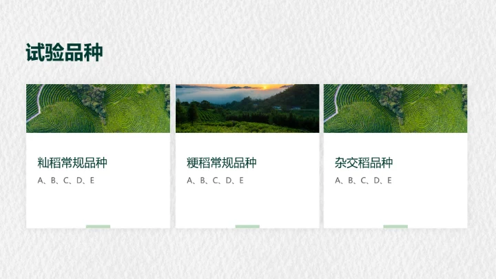 简约风灰色毕业论文答辩PPT