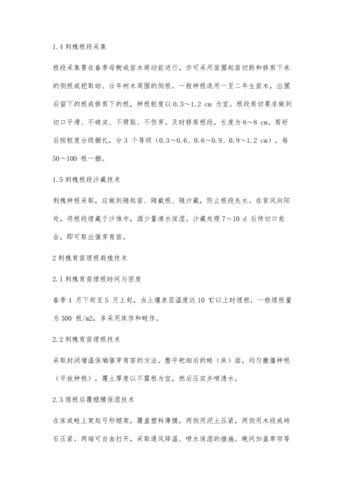 优良刺槐品种应用埋根育苗配套技术.docx