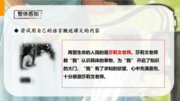 第11课《再塑生命的人》课件