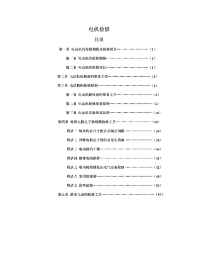 电机检修标准工艺.docx