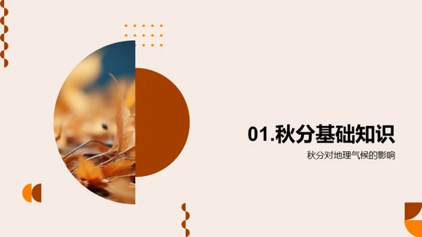 秋分的自然奥秘