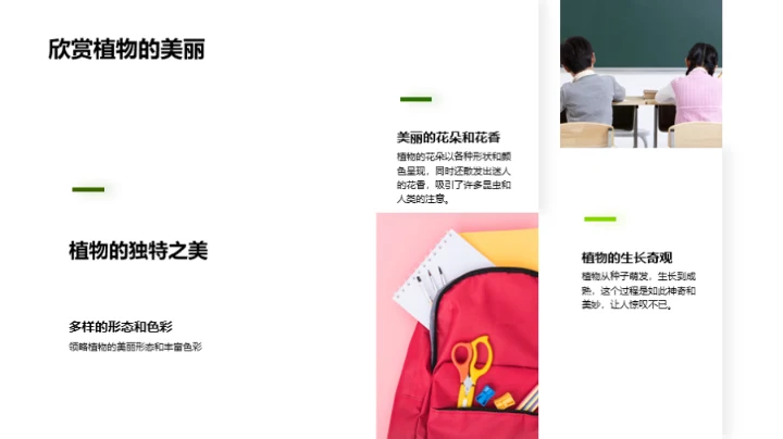 探索植物的奥秘