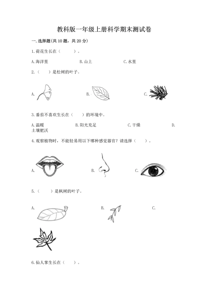 教科版一年级上册科学期末测试卷可打印.docx