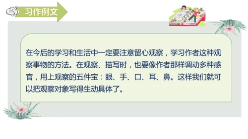 第五单元习作例文我爱故乡的杨梅