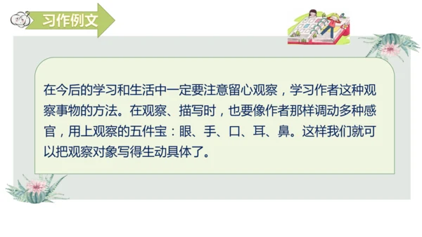 第五单元习作例文我爱故乡的杨梅