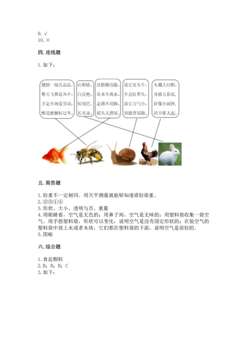 教科版一年级下册科学期末测试卷及完整答案.docx