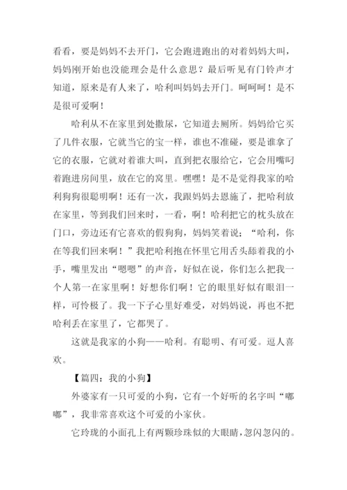 我的小狗作文600字.docx