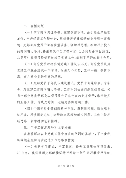 公司书记抓支部党建工作述职报告.docx