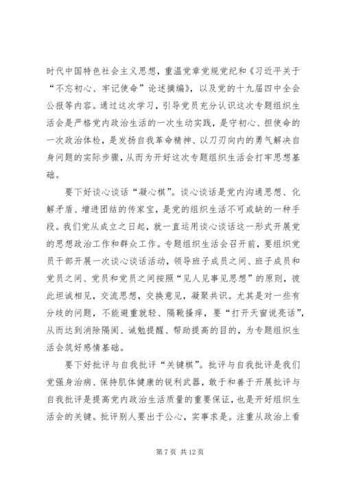 关于如何开好第二批主题教育组织生活会的网评五篇.docx