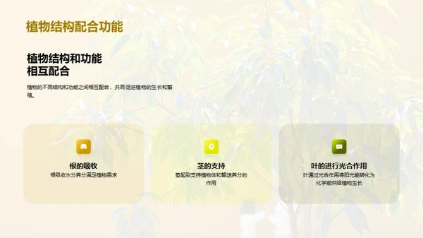 商务风教育培训教学课件PPT模板