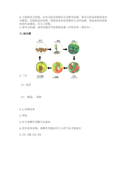 科学四年级下册第一单元《植物的生长变化》测试卷【重点】.docx