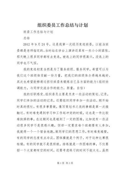 组织委员工作总结与计划.docx