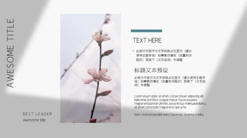 素雅文艺风摄影作品集通用PPT相册模板