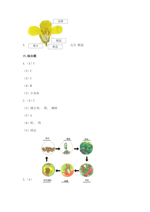 科学四年级下册第一单元《植物的生长变化》测试卷必考题.docx