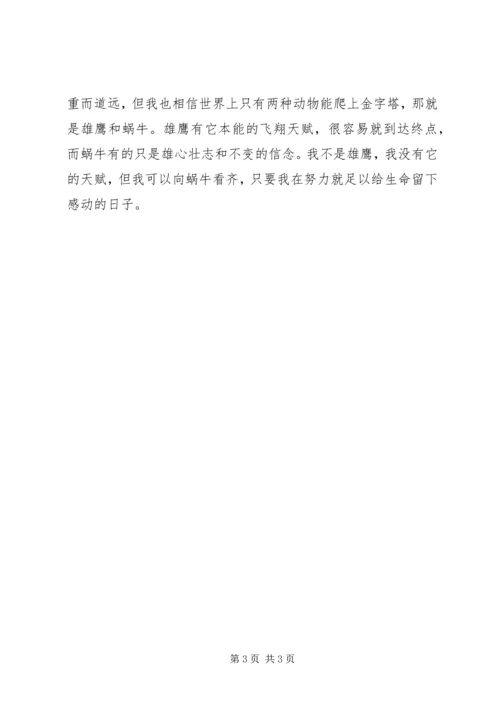 女村官能力建设培训体会感想 (3).docx