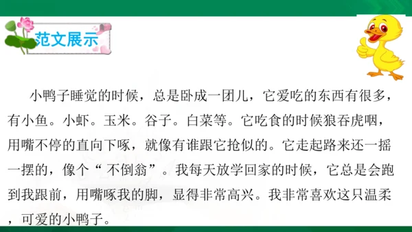 部编版二年级语文看图写话写动物课件