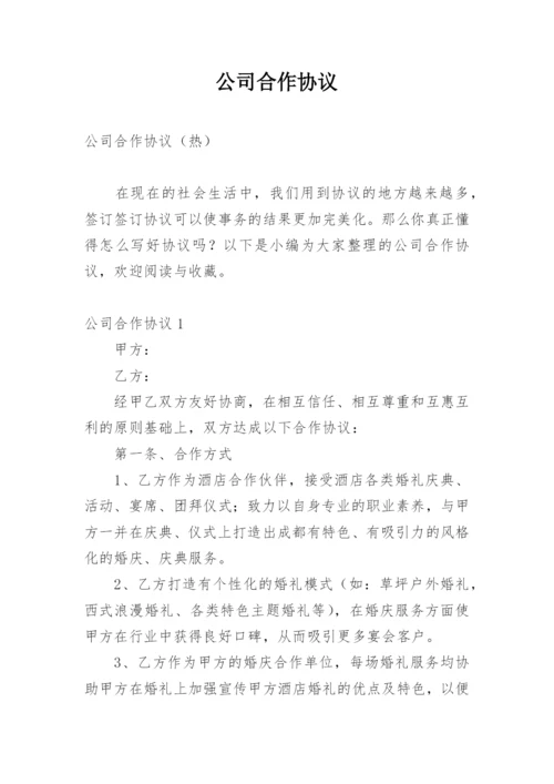 公司合作协议_17.docx