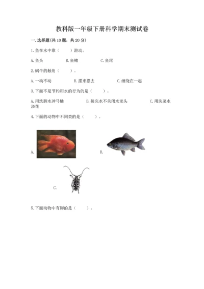 教科版一年级下册科学期末测试卷及参考答案（预热题）.docx