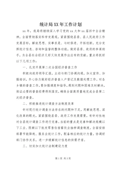 统计局XX年工作计划 (8).docx