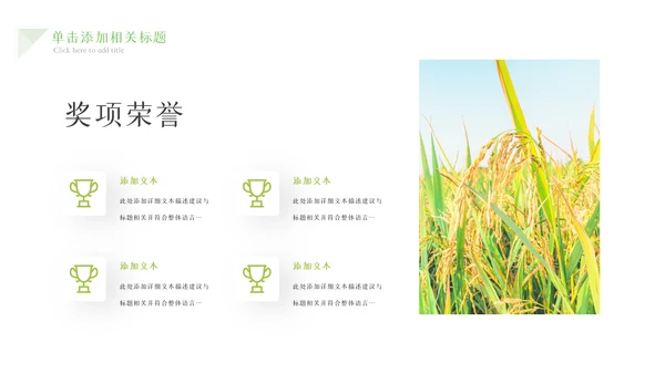 绿色农业生产春耕三农乡村振兴稻田水稻PPT
