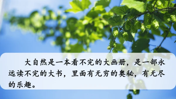 22 读不完的大书  课件