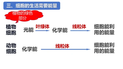 2.1.4细胞的生活课件2023--2024学年人教版生物七年级上册(共34张PPT)