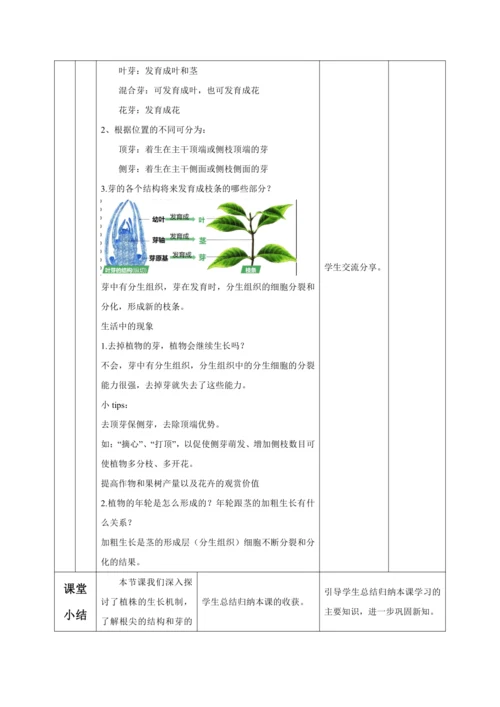 【大单元教学】人教版（2024）生物七下 3.1.2植株的生长（第一课时）教学设计