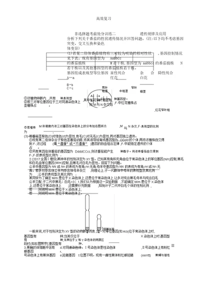 新课标高考生物二轮复习计划非选择题考前抢分训练2遗传规律及应用42含答案