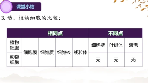 人教版（2024）七年级上册1.2.3动物细胞 课件(共27张PPT)