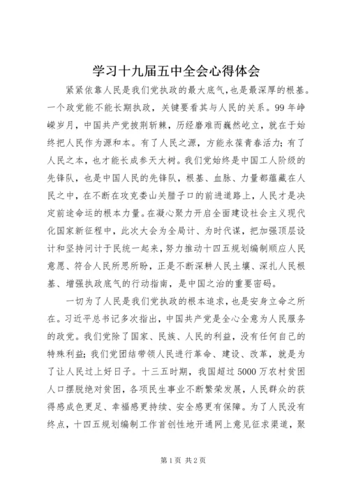 学习十九届五中全会心得体会.docx