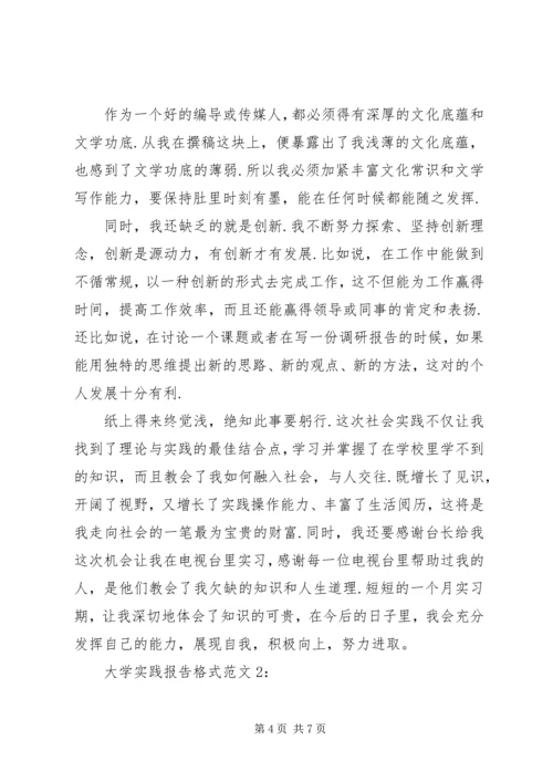 大学实践报告格式范文.docx