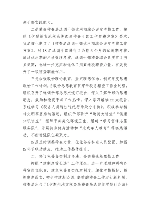 2022年税务稽查工作总结范文.docx