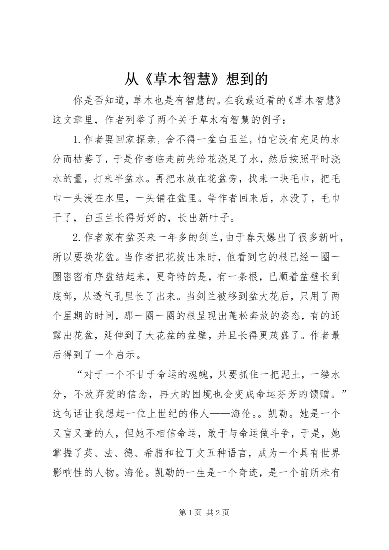 从《草木智慧》想到的.docx