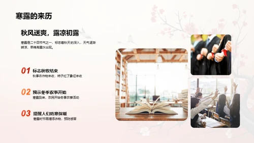 寒露季节的秘密