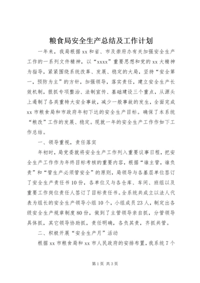 粮食局安全生产总结及工作计划 (4).docx