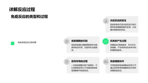 免疫系统解析PPT模板