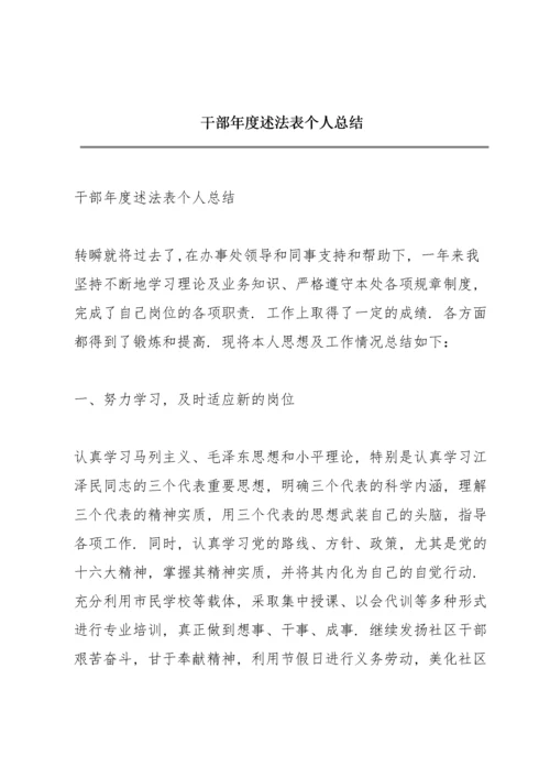 干部年度述法表个人总结.docx