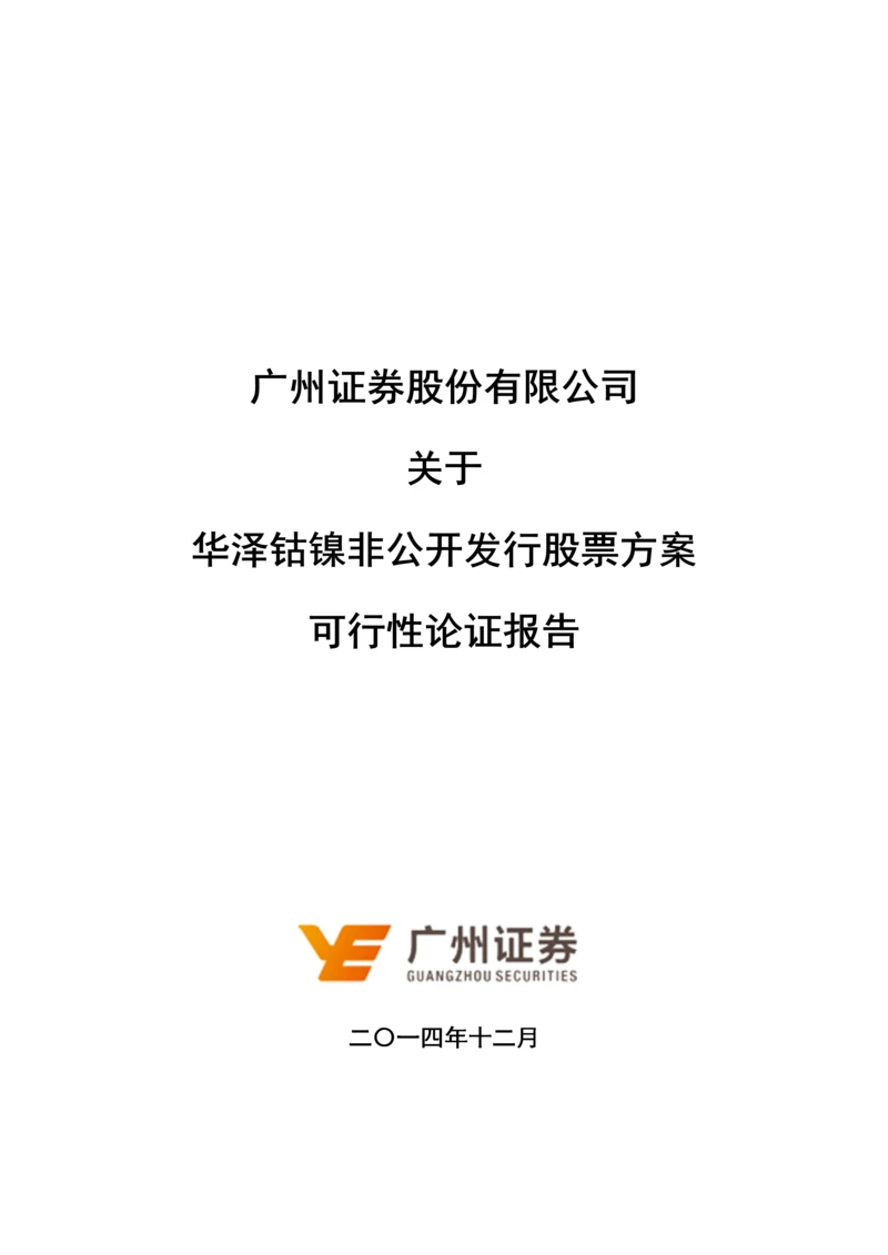 华泽钴镍非公开发行股票方案可行性分析报告.docx
